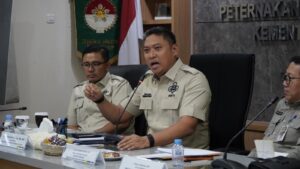 Indonesia Oversupply Ayam dan Telur