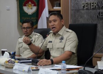 Indonesia Oversupply Ayam dan Telur