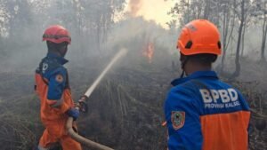 KLH Instruksikan 6 Gubernur Perketat Penanganan Karhutla