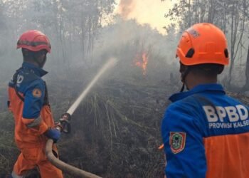 KLH Instruksikan 6 Gubernur Perketat Penanganan Karhutla
