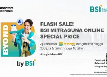 BSI Flash Sale