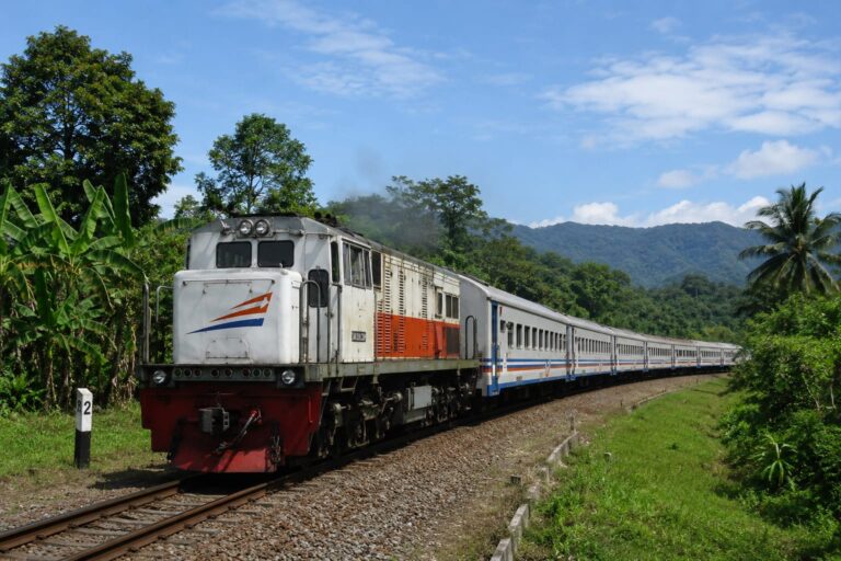 Pemerintah Cari Investor, Rusia dan China Minat Investasi Kereta Trans-Kalimantan