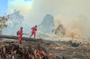 Ilustrasi pemadaman karhutla
