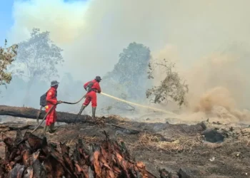 Ilustrasi pemadaman karhutla