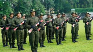 Ilustrasi Polisi Kehutanan