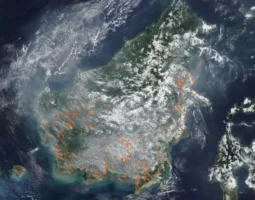 Satelit NASA Ungkap Penampakan Kalimantan Diselimuti Asap, Ribuan Hotspot Terdeteksi