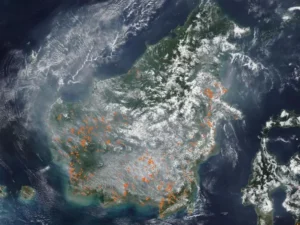 Satelit NASA Ungkap Penampakan Kalimantan Diselimuti Asap
