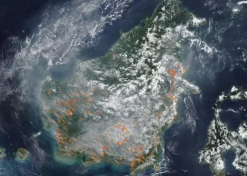 Satelit NASA Ungkap Penampakan Kalimantan Diselimuti Asap