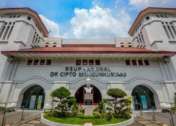 RSUP Nasional Dr. Cipto Mangunkusumo Jakarta, Menjadi Rumah Sakit Tertinggi Pendapatan