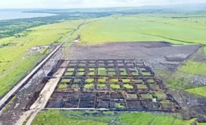 Tambak udang raksasa di NTT