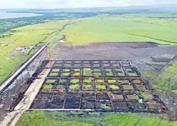 Tambak udang raksasa di NTT