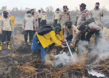 Mahasiswa ULM bantu tangani karhutla