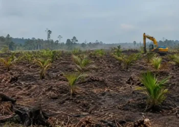 Segel lokasi karhutla