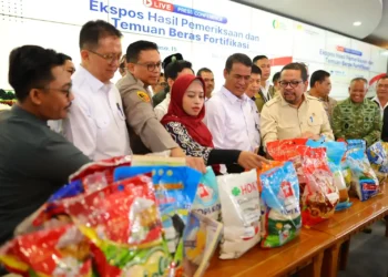 Beras fortifikasi