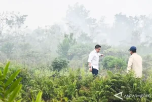 Potret asap karhutla di Kalimantan