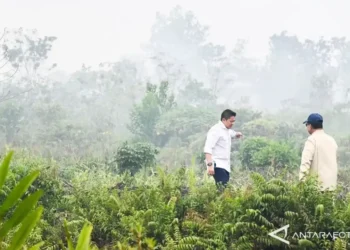 Potret asap karhutla di Kalimantan