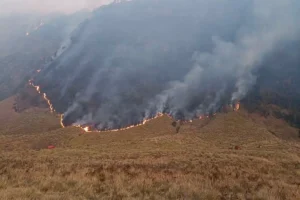 Bromo tutup
