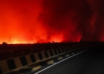 Tumbang Nusa