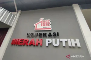 Koperasi Desa