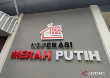 Koperasi Desa