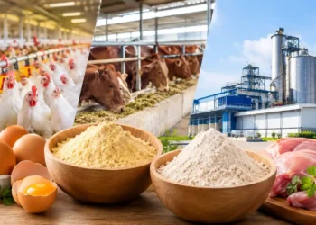 Pemerintah Berencana Bangun Tiga Pabrik Tepung Telur dan Daging