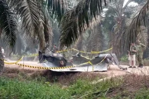 Benda Logam 9 Meter Ditemukan di Perkebunan Sawit Kalteng
