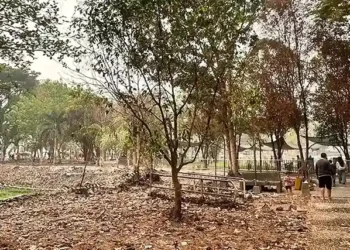 Penataan alun-alun Kamboja