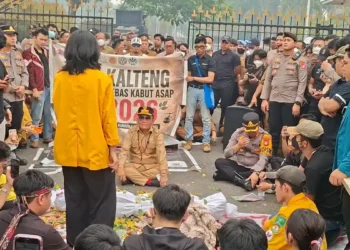 Massa aksi sampaikan kritik terhadap penanganan karhutla