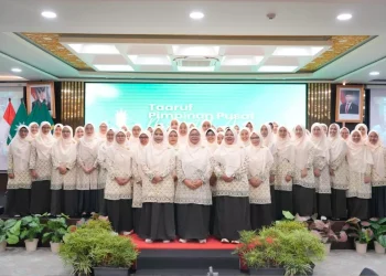 Kepengurusan PPNA
